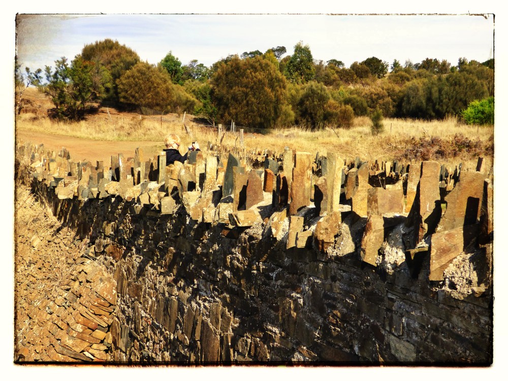 Spiky Bridge Tasmania