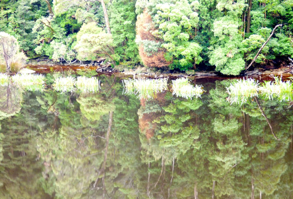 The Gordon River - no filter required